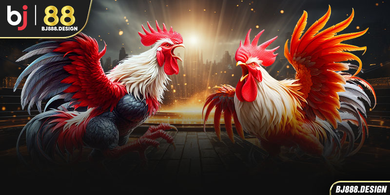 Đá gà cựa sắt